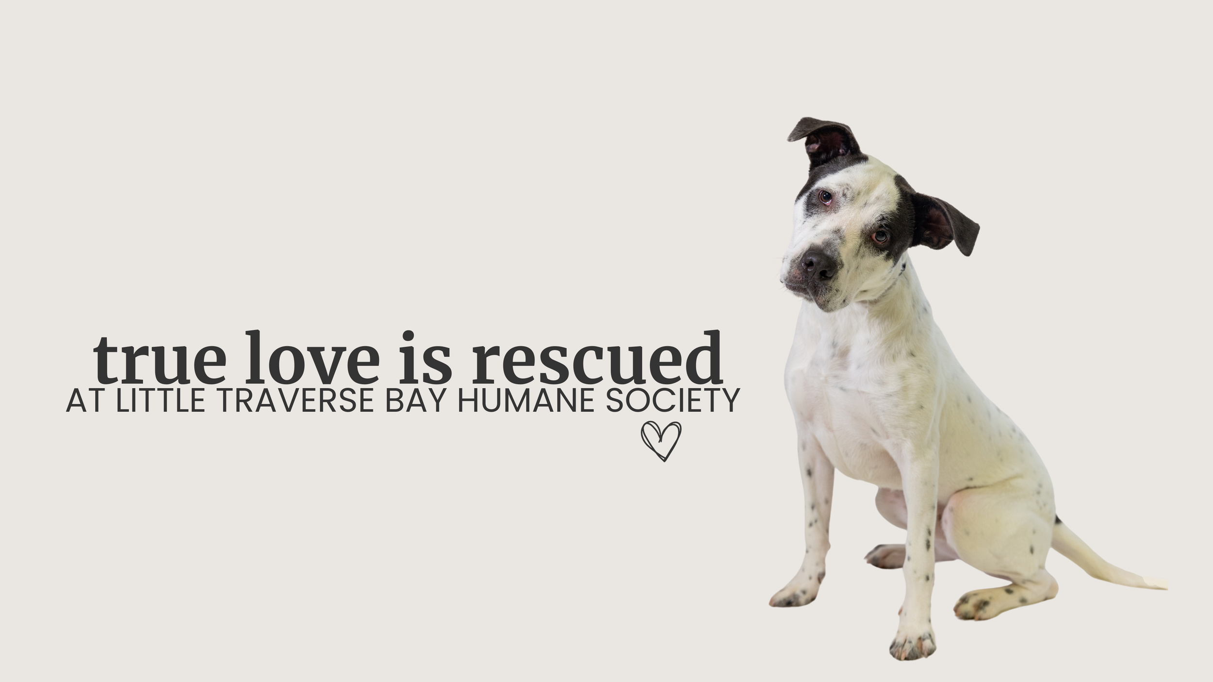 Animal humane society locations 2025